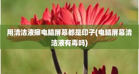 用清洁液擦电脑屏幕都是印子(电脑屏幕清洁液有毒吗)