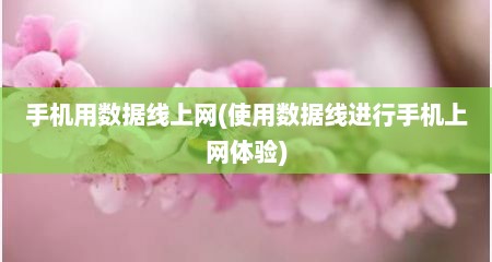 手机用数据线上网(使用数据线进行手机上网体验)