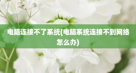 电脑连接不了系统(电脑系统连接不到网络怎么办)