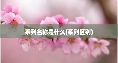 系列名称是什么(系列区别)