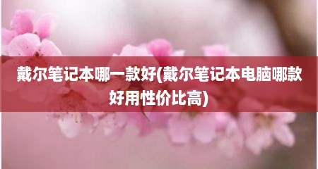 戴尔笔记本哪一款好(戴尔笔记本电脑哪款好用性价比高)