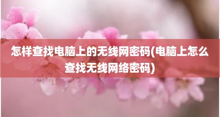 怎样查找电脑上的无线网密码(电脑上怎么查找无线网络密码)