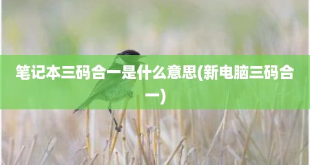 笔记本三码合一是什么意思(新电脑三码合一)