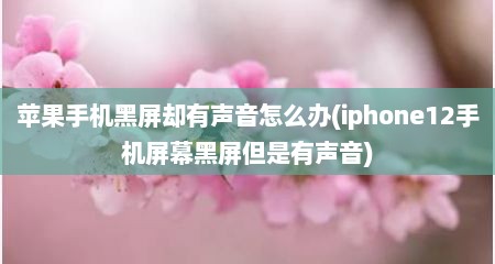 苹果手机黑屏却有声音怎么办(iphone12手机屏幕黑屏但是有声音)