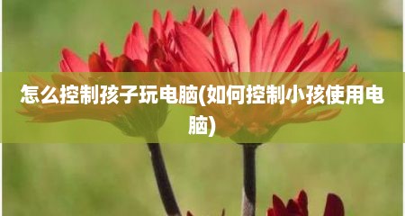 怎么控制孩子玩电脑(如何控制小孩使用电脑)