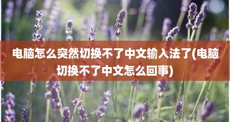 电脑怎么突然切换不了中文输入法了(电脑切换不了中文怎么回事)