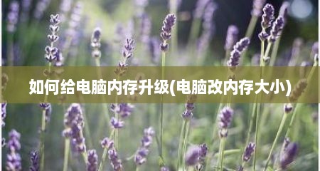 如何给电脑内存升级(电脑改内存大小)