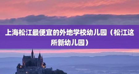 上海松江最便宜的外地学校幼儿园（松江这所新幼儿园）