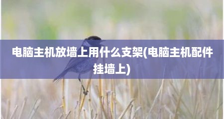 电脑主机放墙上用什么支架(电脑主机配件挂墙上)