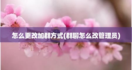 怎么更改加群方式(群聊怎么改管理员)