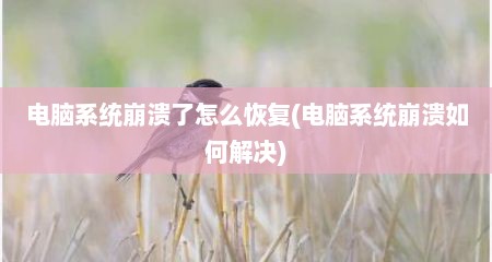 电脑系统崩溃了怎么恢复(电脑系统崩溃如何解决)