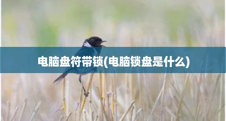 电脑盘符带锁(电脑锁盘是什么)