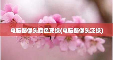 电脑摄像头颜色变绿(电脑摄像头泛绿)