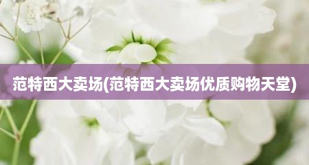 范特西大卖场(范特西大卖场优质购物天堂)