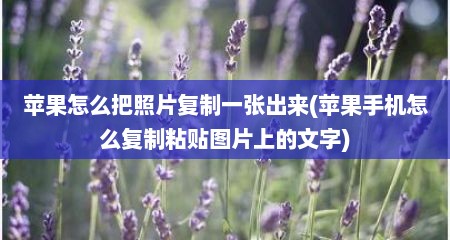 苹果怎么把照片复制一张出来(苹果手机怎么复制粘贴图片上的文字)