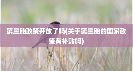 第三胎政策开放了吗(关于第三胎的国家政策有补贴吗)