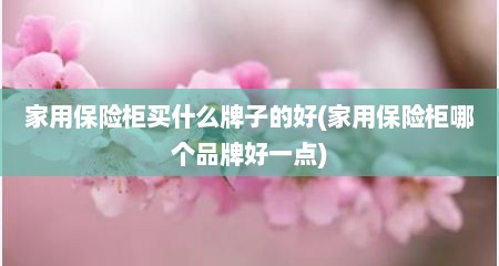 家用保险柜买什么牌子的好(家用保险柜哪个品牌好一点)