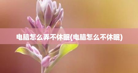 电脑怎么弄不休眠(电脑怎么不休眠)