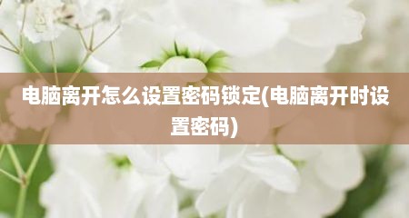 电脑离开怎么设置密码锁定(电脑离开时设置密码)