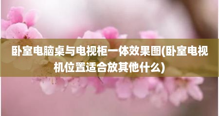 卧室电脑桌与电视柜一体效果图(卧室电视机位置适合放其他什么)