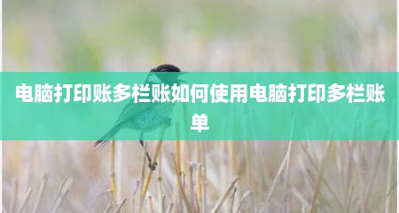 电脑打印账多栏账如何使用电脑打印多栏账单