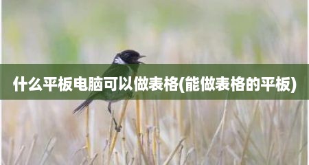 什么平板电脑可以做表格(能做表格的平板)