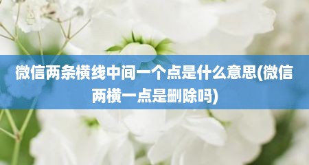 微信两条横线中间一个点是什么意思(微信两横一点是删除吗)