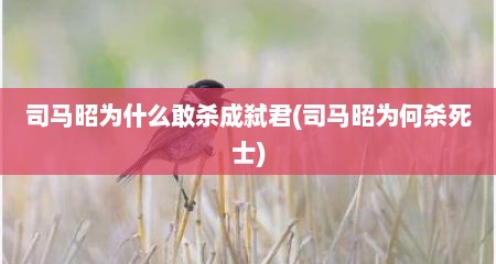 司马昭为什么敢杀成弑君(司马昭为何杀死士)