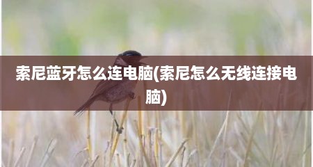 索尼蓝牙怎么连电脑(索尼怎么无线连接电脑)