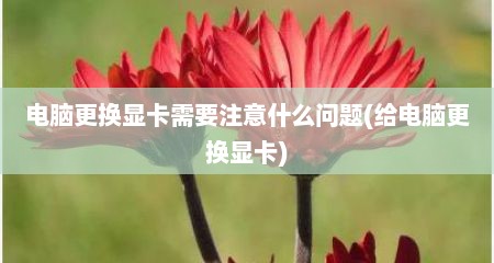 电脑更换显卡需要注意什么问题(给电脑更换显卡)