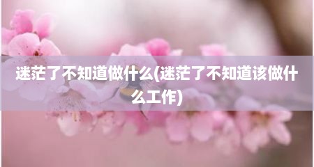 迷茫了不知道做什么(迷茫了不知道该做什么工作)