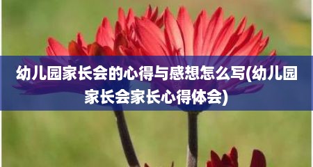 幼儿园家长会的心得与感想怎么写(幼儿园家长会家长心得体会)