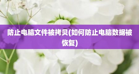 防止电脑文件被拷贝(如何防止电脑数据被恢复)