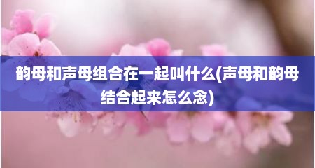 韵母和声母组合在一起叫什么(声母和韵母结合起来怎么念)