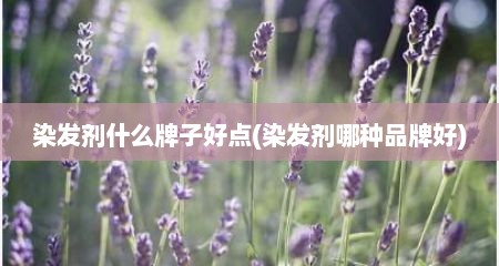 染发剂什么牌子好点(染发剂哪种品牌好)