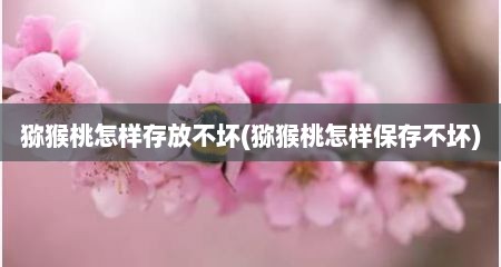 猕猴桃怎样存放不坏(猕猴桃怎样保存不坏)