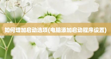 如何增加启动选项(电脑添加启动程序设置)