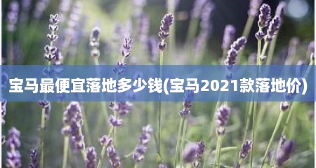 宝马最便宜落地多少钱(宝马2021款落地价)