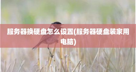 服务器换硬盘怎么设置(服务器硬盘装家用电脑)