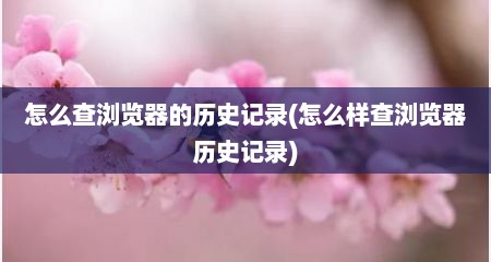 怎么查浏览器的历史记录(怎么样查浏览器历史记录)