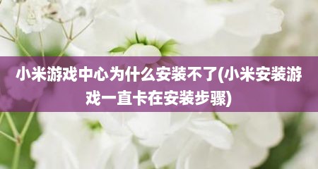 小米游戏中心为什么安装不了(小米安装游戏一直卡在安装步骤)