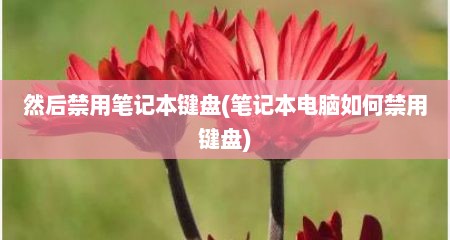 然后禁用笔记本键盘(笔记本电脑如何禁用键盘)