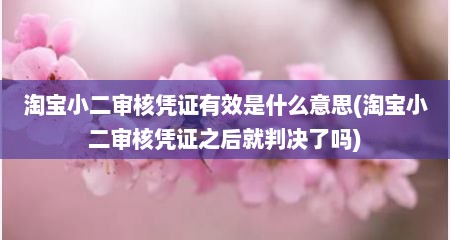 淘宝小二审核凭证有效是什么意思(淘宝小二审核凭证之后就判决了吗)