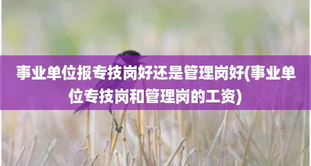 事业单位报专技岗好还是管理岗好(事业单位专技岗和管理岗的工资)