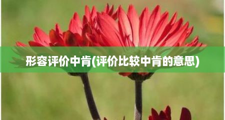 形容评价中肯(评价比较中肯的意思)