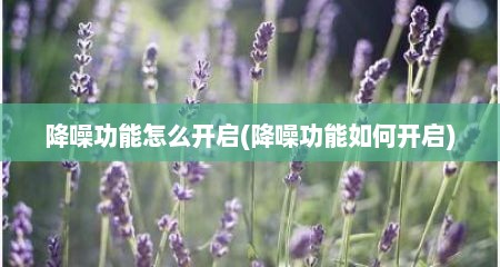 降噪功能怎么开启(降噪功能如何开启)