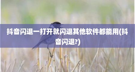 抖音闪退一打开就闪退其他软件都能用(抖音闪退?)