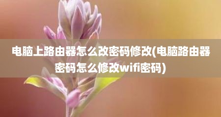 电脑上路由器怎么改密码修改(电脑路由器密码怎么修改wifi密码)