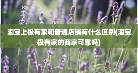 淘宝上极有家和普通店铺有什么区别(淘宝极有家的商家可靠吗)