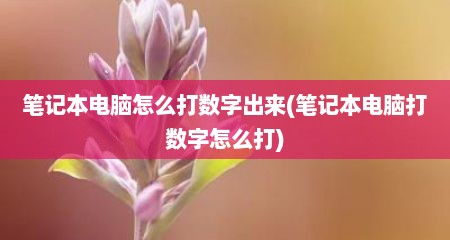 笔记本电脑怎么打数字出来(笔记本电脑打数字怎么打)